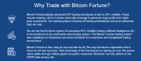 Bitcoin Fortune image 3